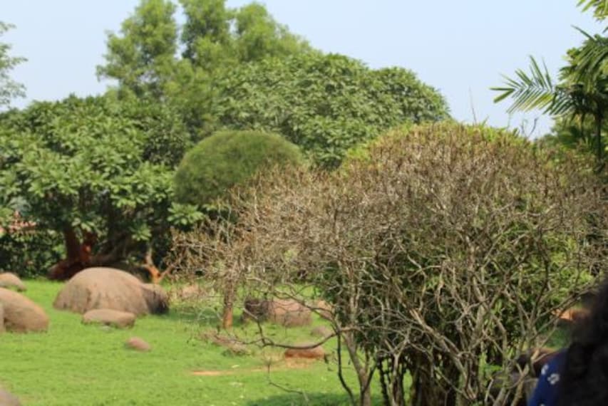 Sri Aurobindo Ashram_4